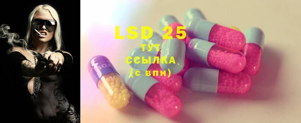 спайс Няндома