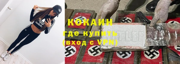 спайс Няндома