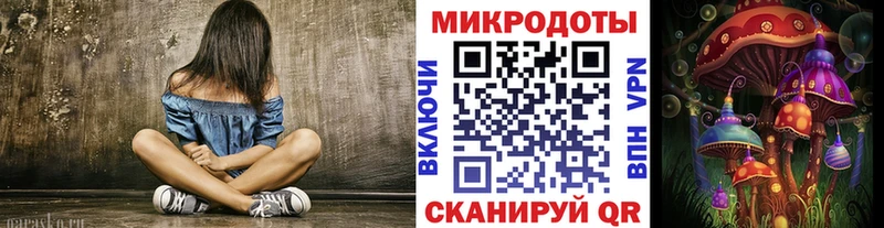 Галлюциногенные грибы Psilocybe  Пыталово 